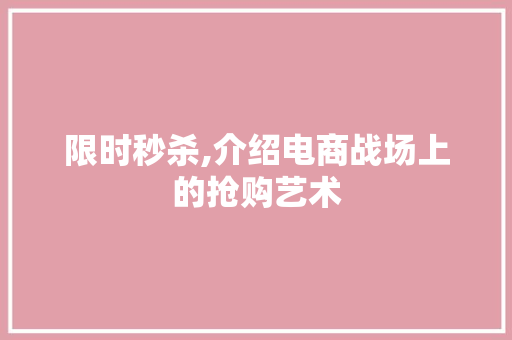 限时秒杀,介绍电商战场上的抢购艺术