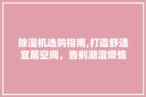除湿机选购指南,打造舒适宜居空间，告别潮湿烦恼
