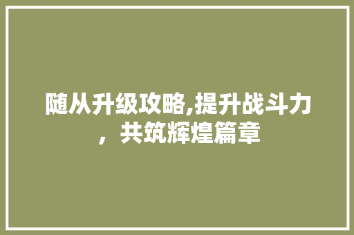 随从升级攻略,提升战斗力，共筑辉煌篇章