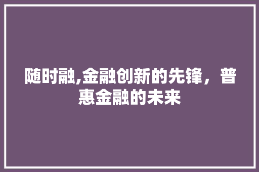 随时融,金融创新的先锋，普惠金融的未来
