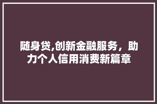 随身贷,创新金融服务，助力个人信用消费新篇章