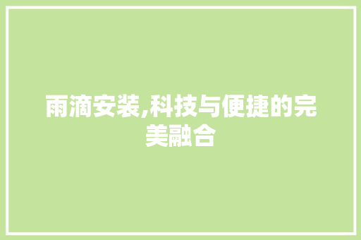 雨滴安装,科技与便捷的完美融合