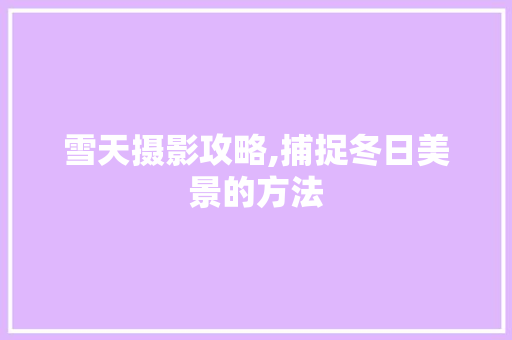 雪天摄影攻略,捕捉冬日美景的方法