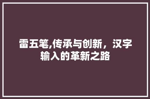 雷五笔,传承与创新，汉字输入的革新之路 操作系统