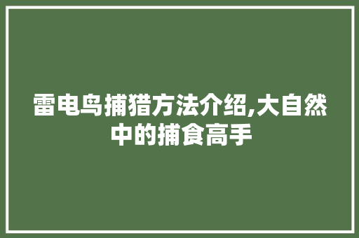 雷电鸟捕猎方法介绍,大自然中的捕食高手