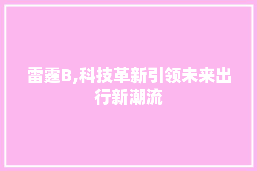 雷霆B,科技革新引领未来出行新潮流 电脑基础