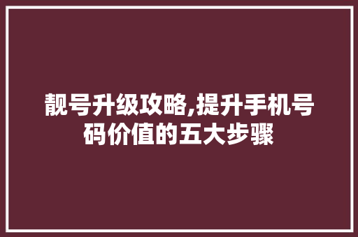 靓号升级攻略,提升手机号码价值的五大步骤