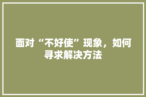 面对“不好使”现象，如何寻求解决方法 编程语言