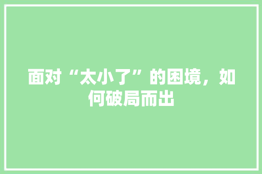 面对“太小了”的困境，如何破局而出 网络技术