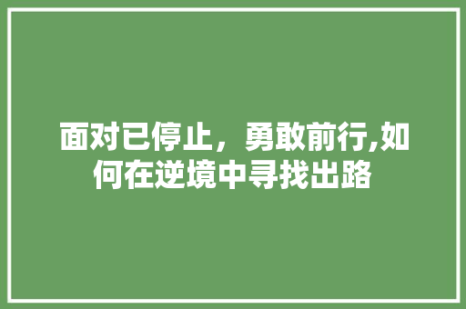 面对已停止，勇敢前行,如何在逆境中寻找出路