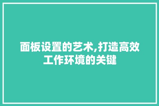 面板设置的艺术,打造高效工作环境的关键 编程语言