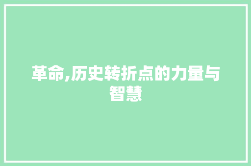 革命,历史转折点的力量与智慧 电脑故障维修