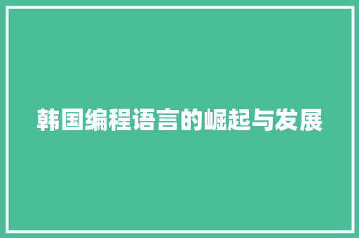 韩国编程语言的崛起与发展 电脑故障维修