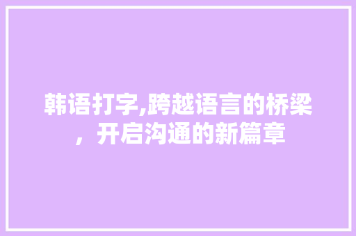 韩语打字,跨越语言的桥梁，开启沟通的新篇章 电脑配置