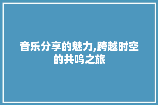 音乐分享的魅力,跨越时空的共鸣之旅 电脑配置