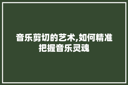 音乐剪切的艺术,如何精准把握音乐灵魂 电脑配置