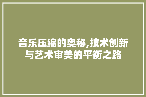 音乐压缩的奥秘,技术创新与艺术审美的平衡之路 编程语言 音乐压缩的奥秘,技术创新与艺术审美的平衡之路 编程语言