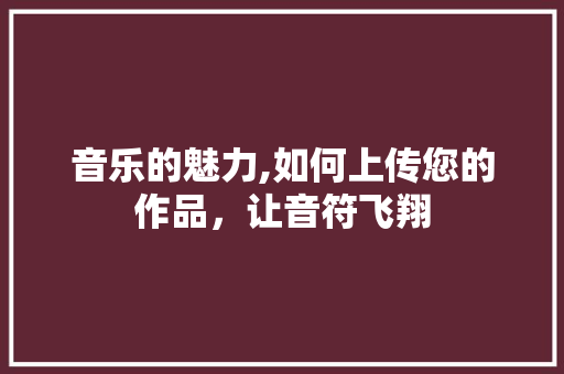 音乐的魅力,如何上传您的作品，让音符飞翔 操作系统