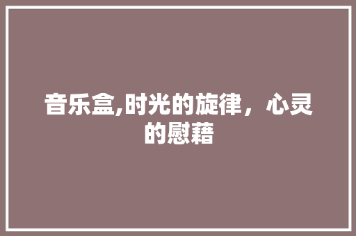 音乐盒,时光的旋律,心灵的慰藉 网络技术 音乐盒,时光的旋律,心灵的慰藉 网络技术
