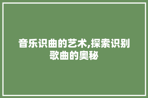 音乐识曲的艺术,探索识别歌曲的奥秘 电脑基础