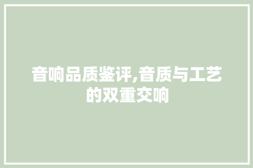 音响品质鉴评,音质与工艺的双重交响 音响品质鉴评,音质与工艺的双重交响