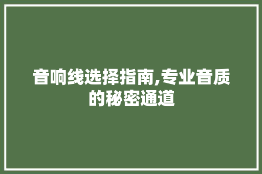 音响线选择指南,专业音质的秘密通道 音响线选择指南,专业音质的秘密通道