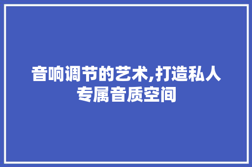 音响调节的艺术,打造私人专属音质空间 音响调节的艺术,打造私人专属音质空间