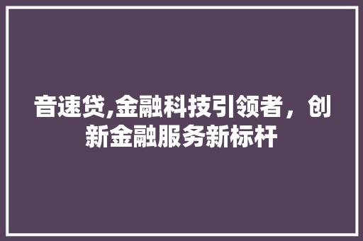 音速贷,金融科技引领者，创新金融服务新标杆