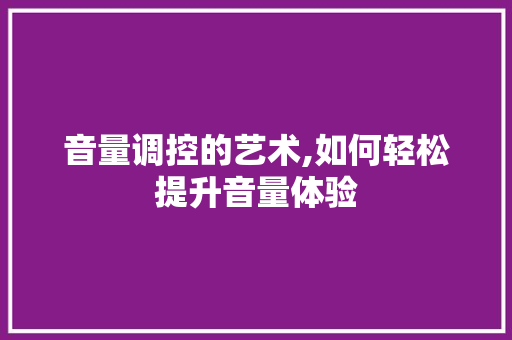 音量调控的艺术,如何轻松提升音量体验