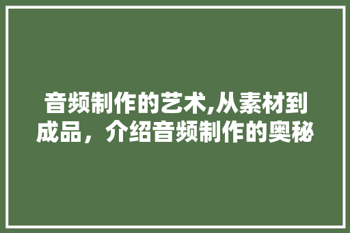 音频制作的艺术,从素材到成品，介绍音频制作的奥秘