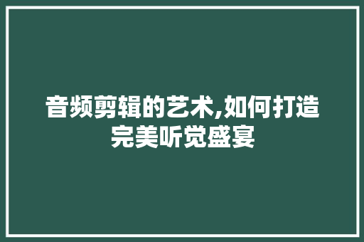 音频剪辑的艺术,如何打造完美听觉盛宴