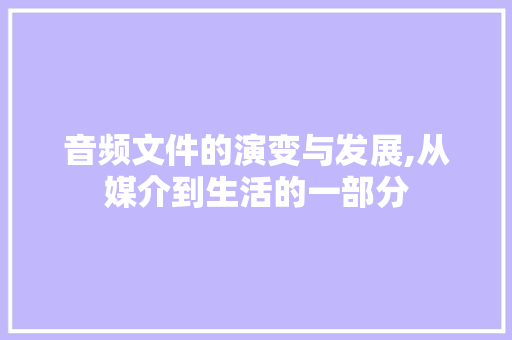 音频文件的演变与发展,从媒介到生活的一部分
