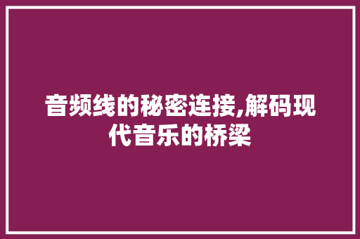 音频线的秘密连接,解码现代音乐的桥梁