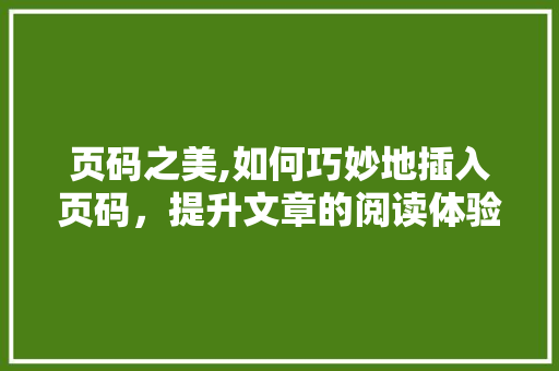 页码之美,如何巧妙地插入页码,提升文章的阅读体验 页码之美,如何巧妙地插入页码,提升文章的阅读体验