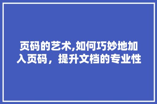 页码的艺术,如何巧妙地加入页码,提升文档的专业性与美观度 页码的艺术,如何巧妙地加入页码,提升文档的专业性与美观度