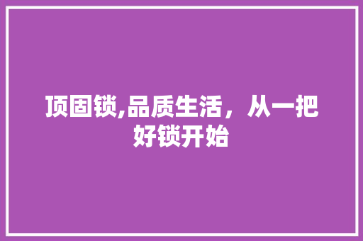 顶固锁,品质生活,从一把好锁开始 顶固锁,品质生活,从一把好锁开始