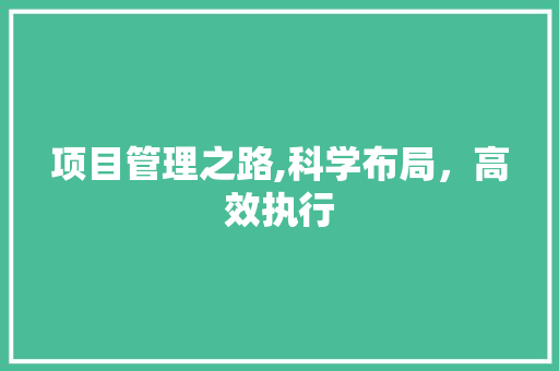项目管理之路,科学布局,高效执行 项目管理之路,科学布局,高效执行