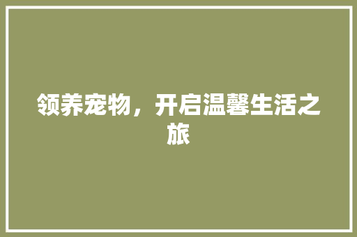 领养宠物，开启温馨生活之旅