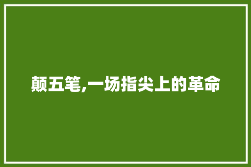 颠五笔,一场指尖上的革命