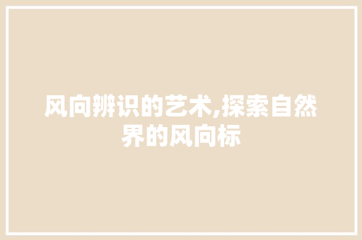 风向辨识的艺术,探索自然界的风向标 电脑配置