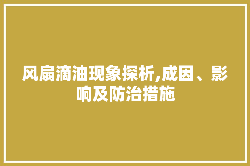 风扇滴油现象探析,成因、影响及防治措施