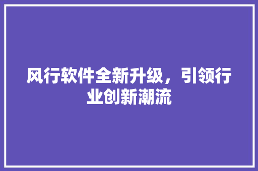 风行软件全新升级，引领行业创新潮流