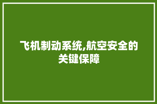 飞机制动系统,航空安全的关键保障 飞机制动系统,航空安全的关键保障