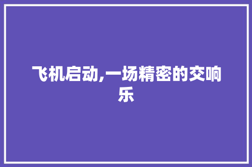 飞机启动,一场精密的交响乐