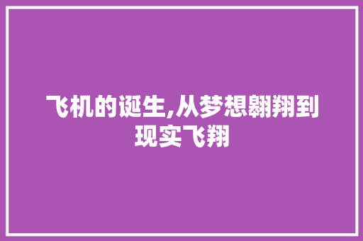 飞机的诞生,从梦想翱翔到现实飞翔