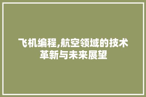 飞机编程,航空领域的技术革新与未来展望
