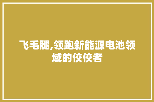 飞毛腿,领跑新能源电池领域的佼佼者