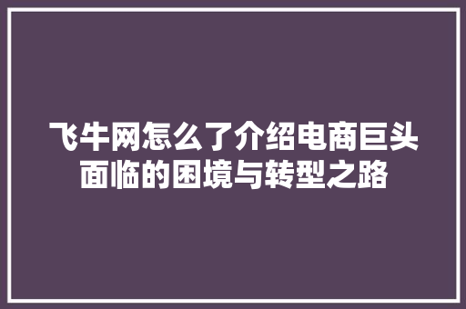 飞牛网怎么了介绍电商巨头面临的困境与转型之路