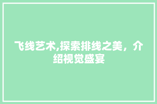飞线艺术,探索排线之美，介绍视觉盛宴