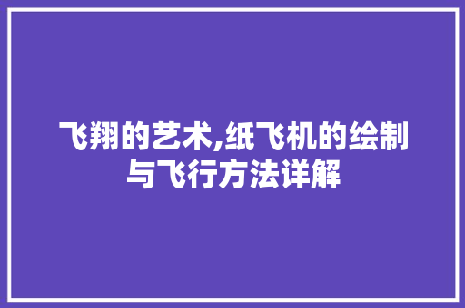 飞翔的艺术,纸飞机的绘制与飞行方法详解